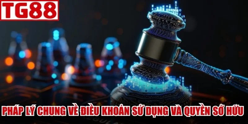 Pháp lý chung về điều khoản sử dụng và quyền sở hữu